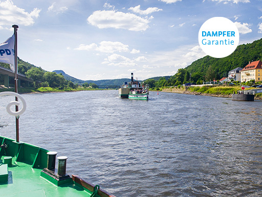 Bug eines Dampfers, es kommt ein weiterer Dampfer entgegen. Rechts sind Häuser von Bad Schandau zu sehen, im Hintergrund der Lilienstein.
