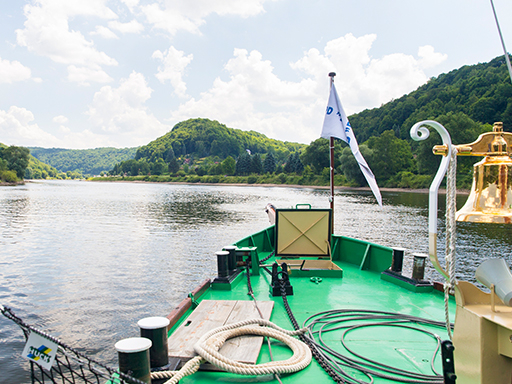 Ein Dampfer fährt elbaufwärts durch die Sächsische Schweiz. Die bewaldeten Elbufer sind zu sehen, im Vordergrund die goldene Schiffsglocke.