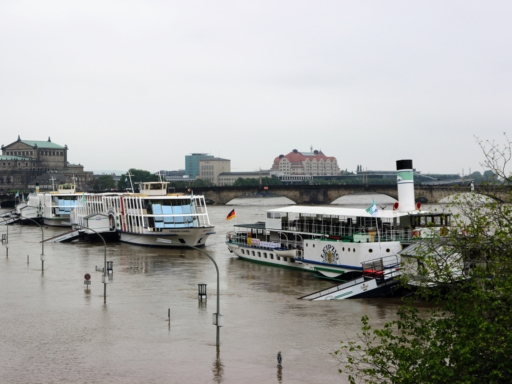 ochwasser in Dresden. Der Dampfer 