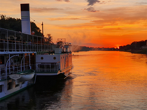 Ein Dampfer fährt in Pillnitz elbabwärts. Die Sonne geht unter, der Himmel ist orange gefärbt.