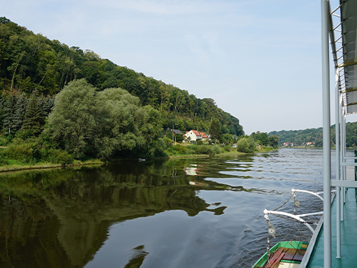 in Dampfer fährt auf der Elbe in der Sächsischen Schweiz stromauf. Links und rechts sind die bewaldeten Elbhänge zu sehen, die Wiesen und Bäume sind satt grün.