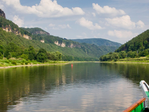 Ein Dampfer fährt in der Sächsischen Schweiz stromauf. Links sind schroffe Sandsteinfelsen zu sehen, die Wiesen und die Bäume sind satt grün.