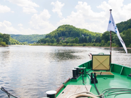 Ein Dampfer fährt au der Elbe in der Sächsischen Schweiz stromauf. Der Bug es Schiffs ist zu sehen, die Elbe und die grünen Elbhänge. Es ist sonnig mit ein paar weißen Wolken.