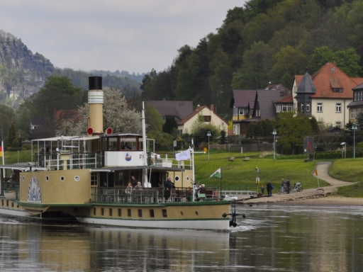 Header_Stadt Wehlen Der Dampfer