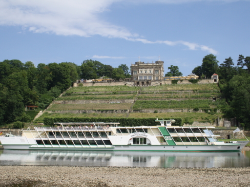 Das Salonschiff August der Starke fährt unterhalb des Lingnerschlosses mit seinem Weinhang entlang. Es ist Sommer und wenig Wasser in der Elbe, man kann die Steine des Ufers erkennen.