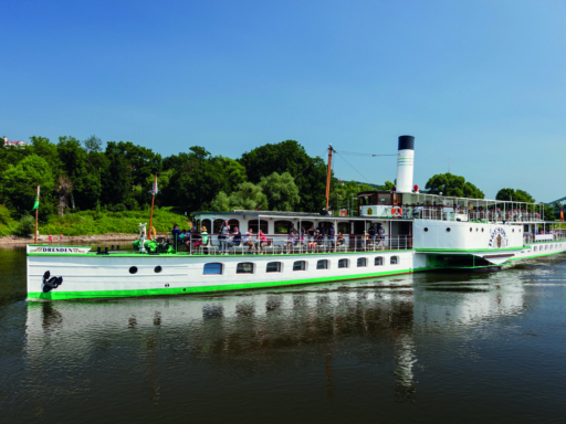 Der Dampfer Dresden fährt im Sommer die Elbe in Blasewitz entlang. Im Hintergrund auf der rechten Seite ist ein kleines Stück des Blauen Wunders zu erkennen.