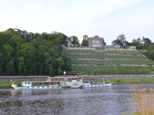 Der Dampfer Kurort Rathen fährt unterhalb des Lingnerschlosses mit seinem Weinberg, die Elbe stadteinwärts. Das Schiff ist mit bunten Wimpeln geschmückt. Grüne Bäume, Weinberge und Wiesen.