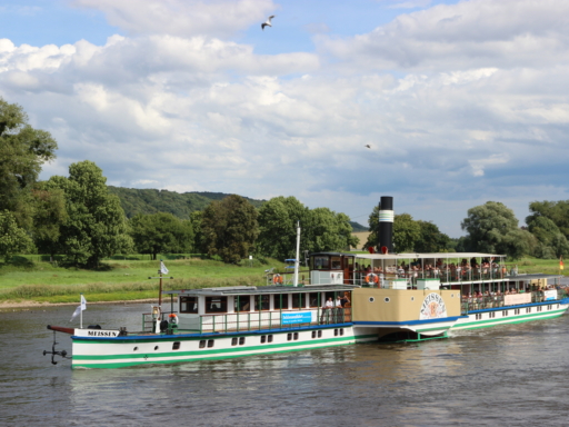 Der Dampfer Meissen fährt an einem wolkigen, dennoch sonnigen Tag die Elbe entlang. Im Hintergrund sind grüne Bäume und Elbwiesen zu sehen.