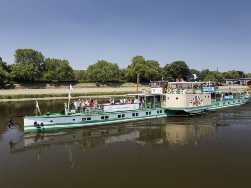 Dampfer Pirna fährt an einem sonnigen Sommertag aus Richtung Albertbrücke kommend stadteinwärts. Der Schornstein des Schiffes ist gekippt, der Himmel blau und Bäume und Wiesen sind saftig grün.