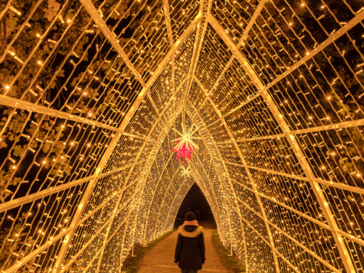 Ein Mensch geht durch einen mit Lichterketten beleuchteten Tunnel im Christmas Garden Dresden.