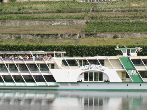 WFS_MS August der Starke_Hillmann Das Motorschiff