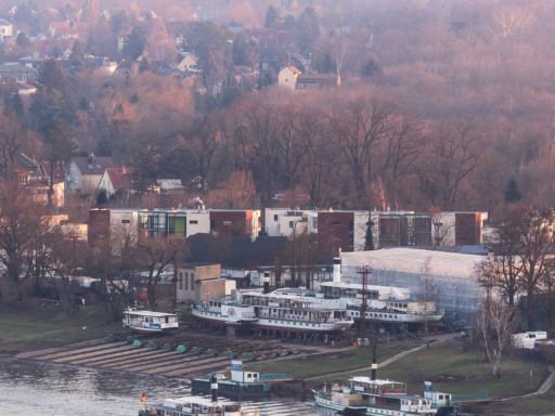 Picture of the shipyard in Laubegast. 4 steamers are standing at and on the shipyard. The picture was taken from the opposite side of the Elbe.