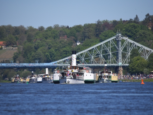 Flottenparade fährt durch das Blaue Wunder. Die Dampfer sind mit Wimpeln geschmückt, es sind 6 Dampfer hintereinander zu erkennen. Am Ufer stehen viele Menschen.