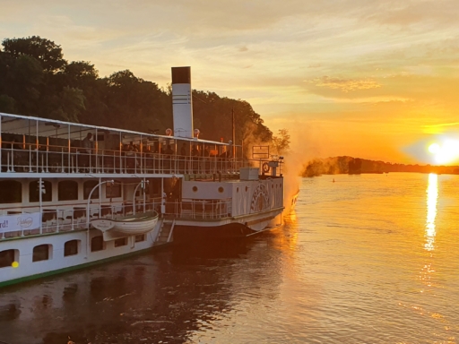 Der Dampfer Dresden auf einer abendlichen Schlösserfahrt im Sonnenuntergang.