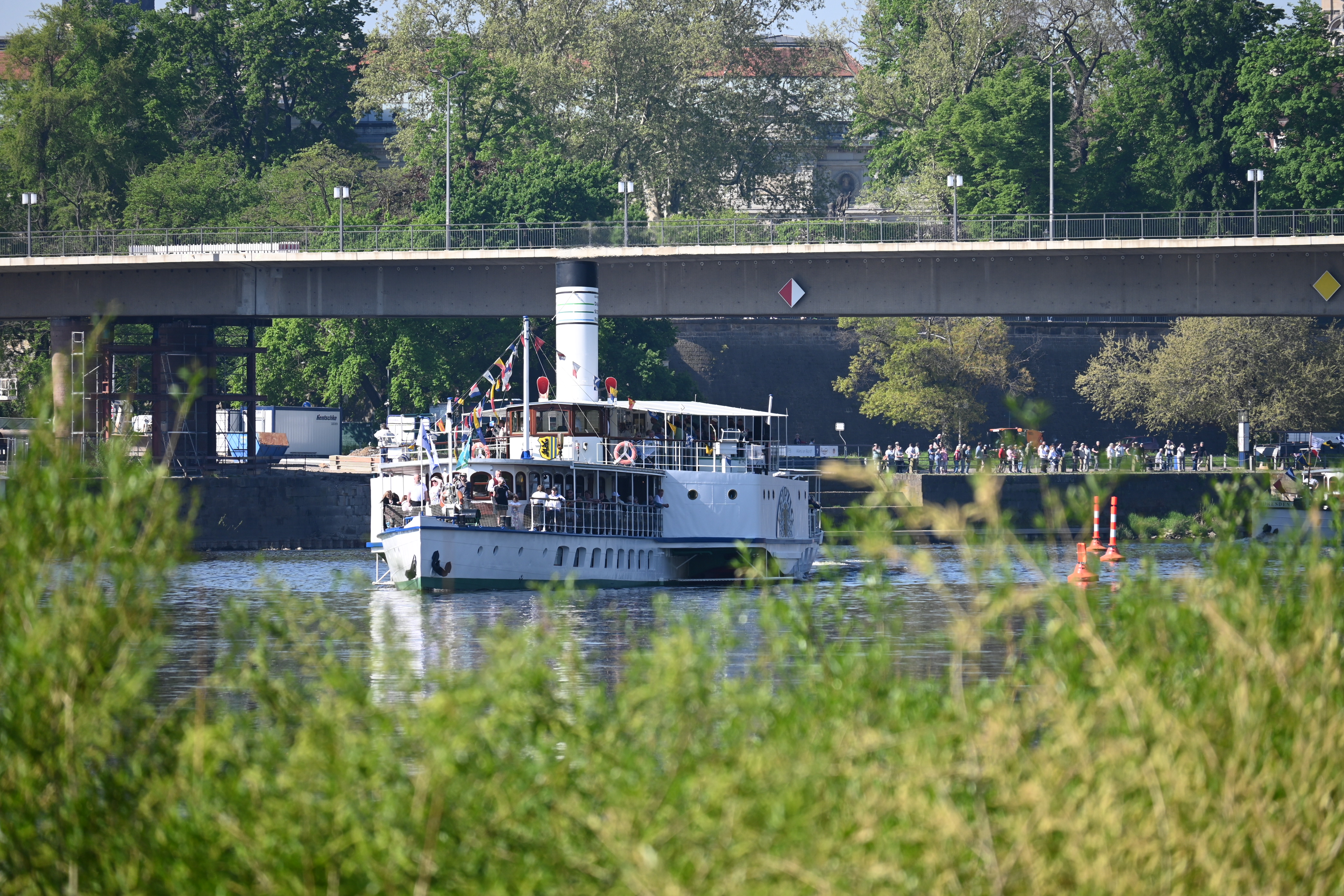 A steamer sails upstream through the Carola Bridge. It's decorated with pennants. People stand on the shore in the background. It's sunny, and green bushes can be seen in the foreground.